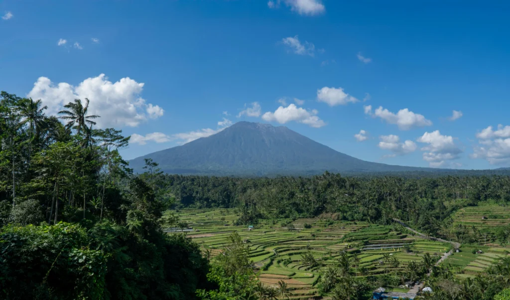 Rinjani with rice fields